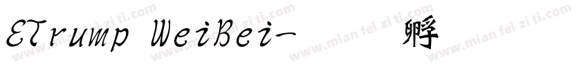 ETrump WeiBei字体转换